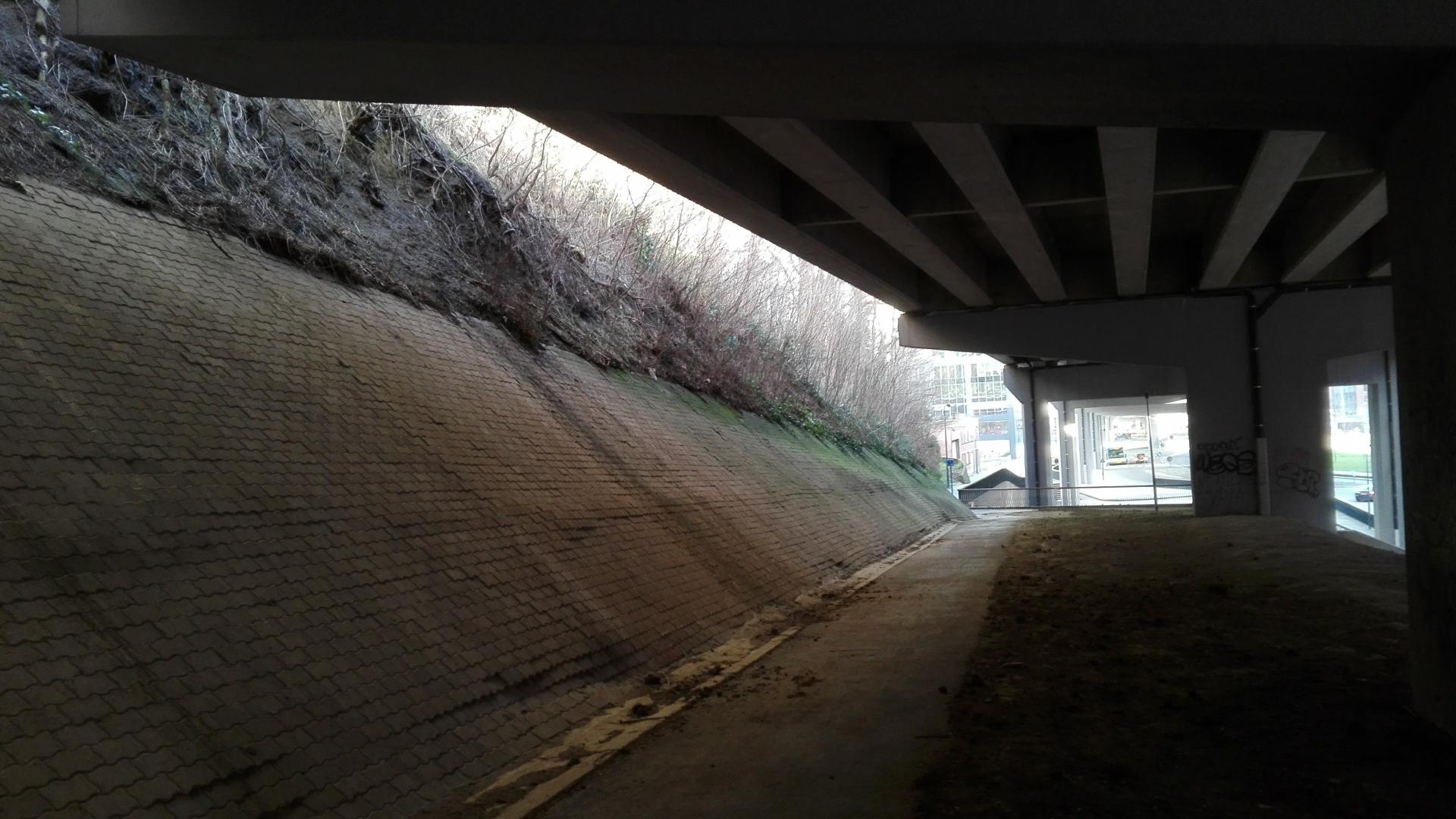 Het fietspad voor de start van de werken onder het viaduct richting Engels Plein